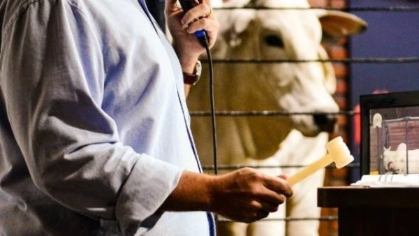 Irmãos Brant - Apex assina convênio de R$ 4,6 milhões com ABCZ