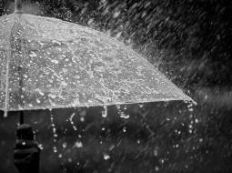 Irmãos Brant - El Niño pode durar pelo menos até abril de 2024, estima ONU