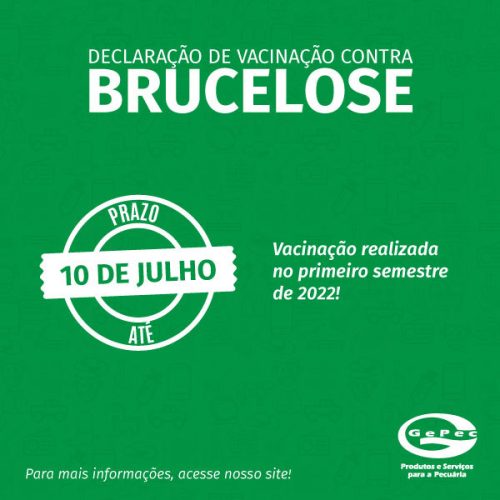 Irmãos Brant - Produtor, declare até 10/7 a vacinação de bovinas e bubalinas de 3 a 8 meses de idade