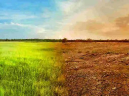 Irmãos Brant - El Niño coloca safra 2026/27 em alerta para o plantio