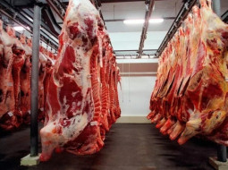 Irmãos Brant - Para atender UE, governo estuda vetar o uso de antimicrobianos na pecuária