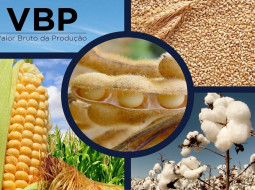 Irmãos Brant - Valor Bruto da Produção supera R$ 1,4 trilhão em agosto