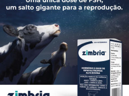 Irmãos Brant - Encontro GEPEC, BH EMBRIOES e CEVA: Alinhamento para início de experimento com novo produto ZIMBRIA em doadoras de embriões FIV.