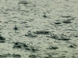 Irmãos Brant - Ciclone no sudeste e calor de 36ºC: chuva de 200 milímetros alivia a seca em Minas