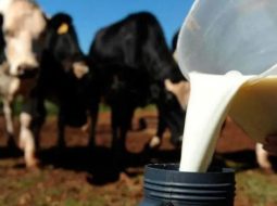 Irmãos Brant - Com investimento de R$10 mi, indústria mineira projeta crescimento de 45% em 2025