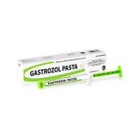 Irmãos Brant - Gastrozol Pasta