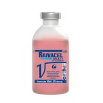 Irmãos Brant - Raivacell Multi 25 Ds