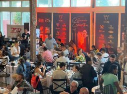 Irmãos Brant - O leilão “Gir Leiteiro: O Grande Encontro” promove a excelência genética na pecuária leiteira