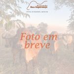 Irmãos Brant - ABDALA 2B