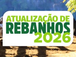 Irmãos Brant - Atualização de rebanhos: entenda por que declarar a vacinação contra a raiva