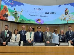 Irmãos Brant - Na FAO, ApexBrasil apresenta estudo da ABIEC e FGV Agro que aponta redução de até 92,6% na intensidade de emissões da pecuária brasileira até 2050