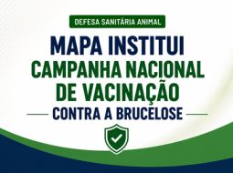 Irmãos Brant - MAPA institui Campanha Nacional de Vacinação contra a Brucelose