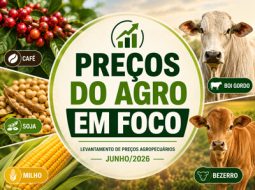 Irmãos Brant - Mercado agropecuário registra valorização do boi e do bezerro, enquanto café segue em patamar elevado