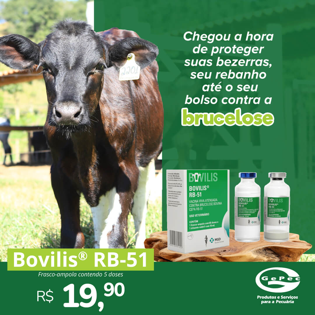 Bovilis® RB-51 é uma vacina viva atenuada, liofilizada, contendo cultivo vivo de Brucella abortus, cepa RB-51. 