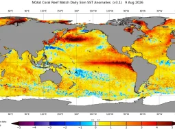 Irmãos Brant - El Niño já está forte e deve se intensificar nos próximos meses