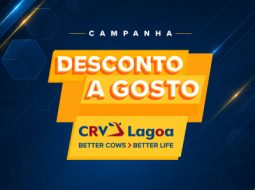 Irmãos Brant - Desconto A Gosto CRV Lagoa: aproveite as ofertas de agosto!