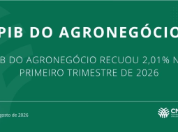Irmãos Brant - PIB-Agro/CEPEA:Após forte avanço em 2025, PIB do agro recua 2% no 1º tri